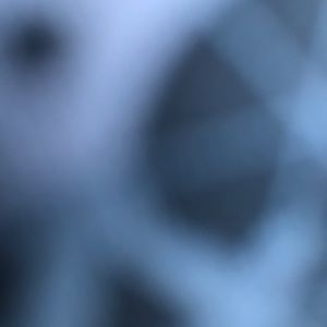 Meet your Posher, Jake